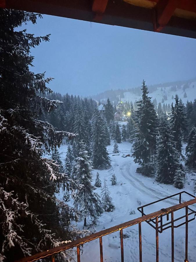 Cabana Miramonte Vartop Arieseni Bagian luar foto